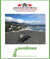 Brawoliner Western Cape image 5